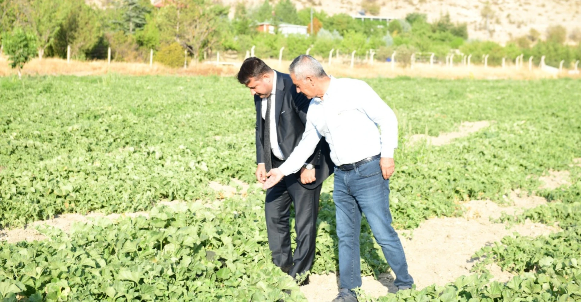 Selim Çırpanoğlu