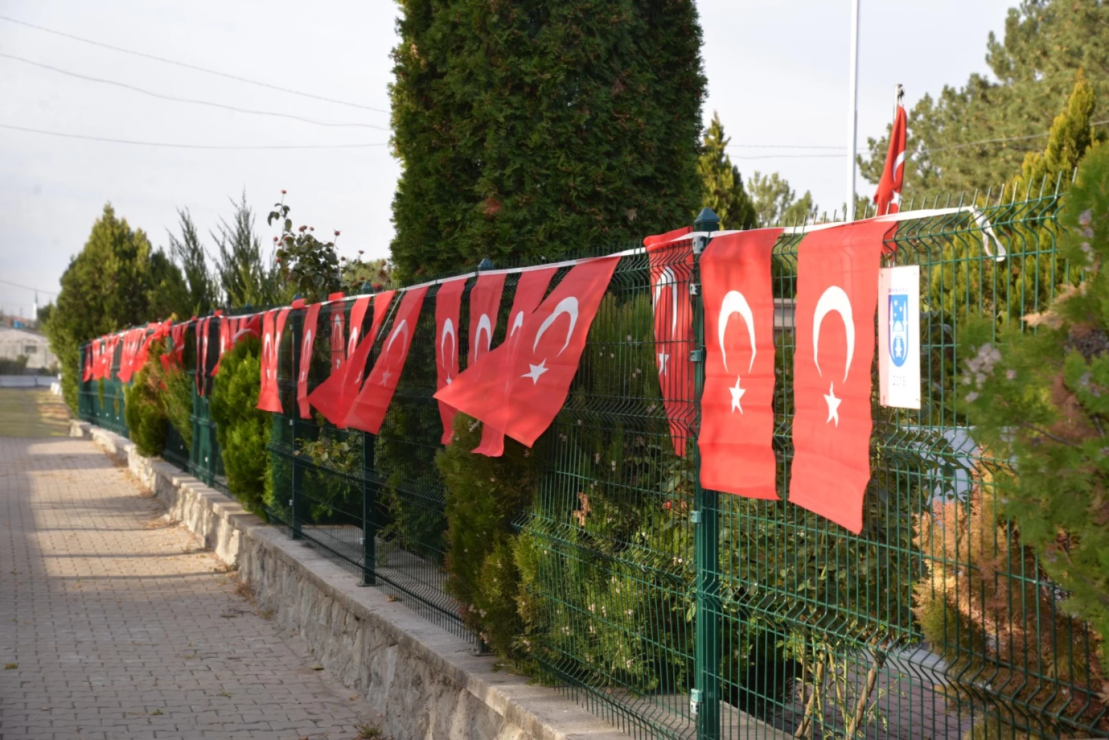 Selim Çırpanoğlu