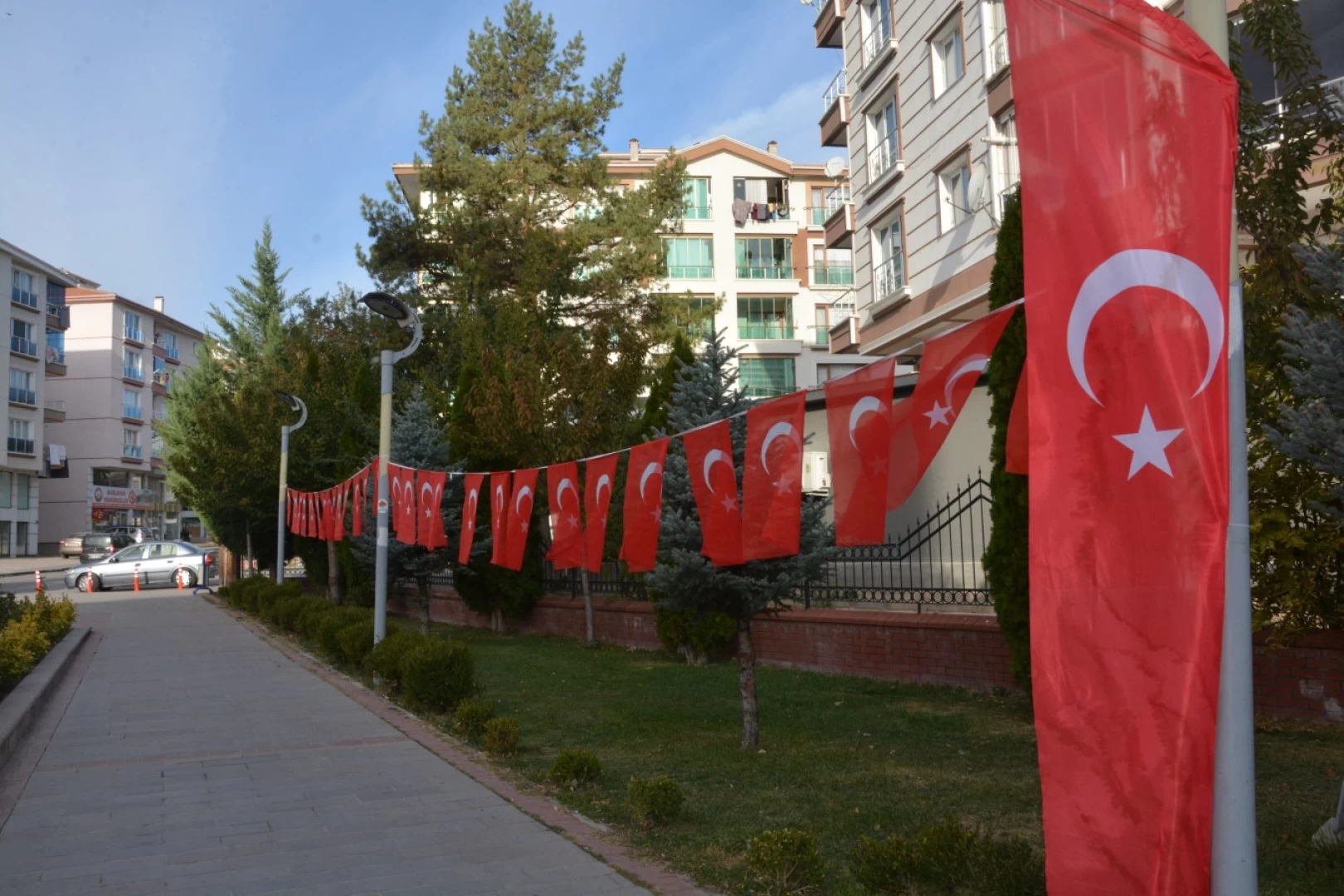 Selim Çırpanoğlu